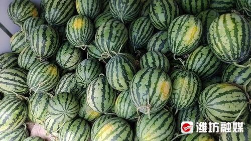 永年二中吃瓜,校园风云背后的真相