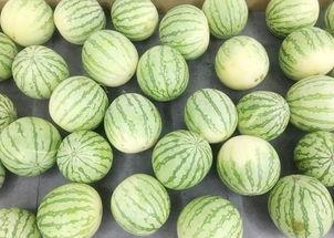 大哪吃瓜网,网络舆论风向标背后的故事