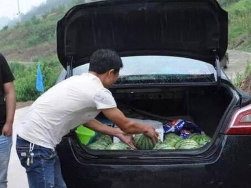 汽车员工吃瓜,揭秘行业内部趣闻轶事